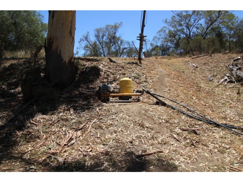 Moonbong Aggregation, Pallamallawa NSW 2399