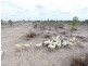 “Talawanta”, Brewarrina NSW 2839