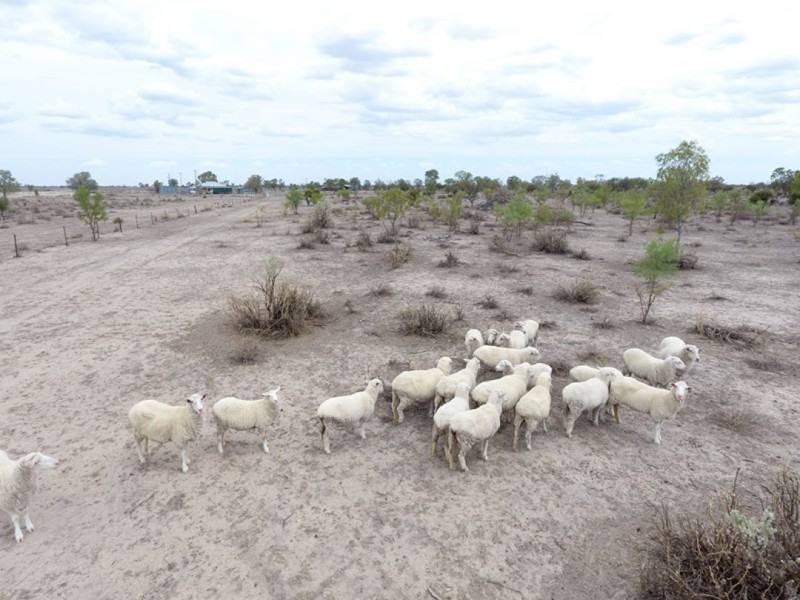 “Talawanta”, Brewarrina NSW 2839