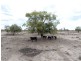 “Talawanta”, Brewarrina NSW 2839