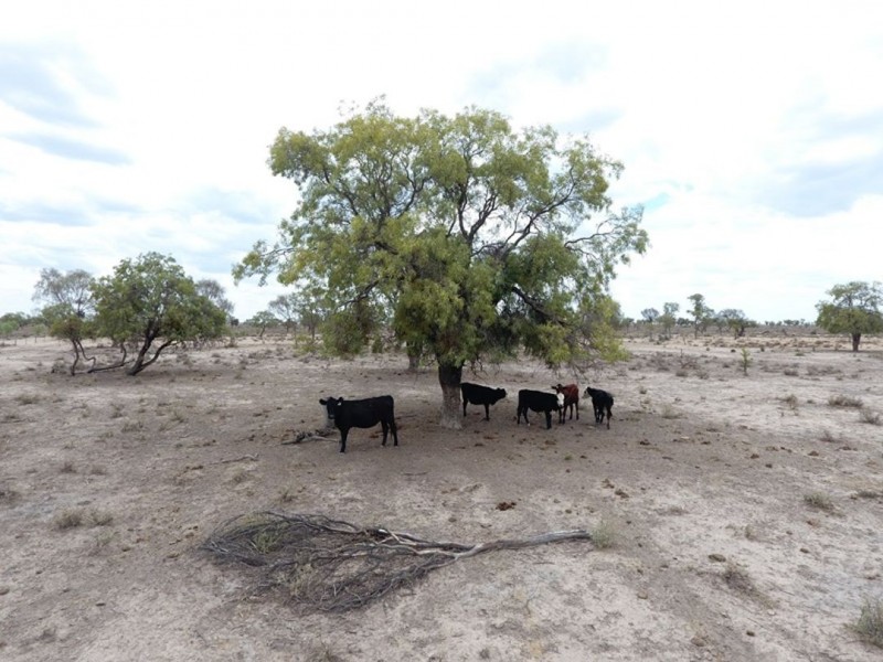 “Talawanta”, Brewarrina NSW 2839
