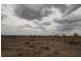 “Talawanta”, Brewarrina NSW 2839