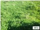 “Talawanta”, Brewarrina NSW 2839