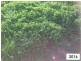 “Talawanta”, Brewarrina NSW 2839