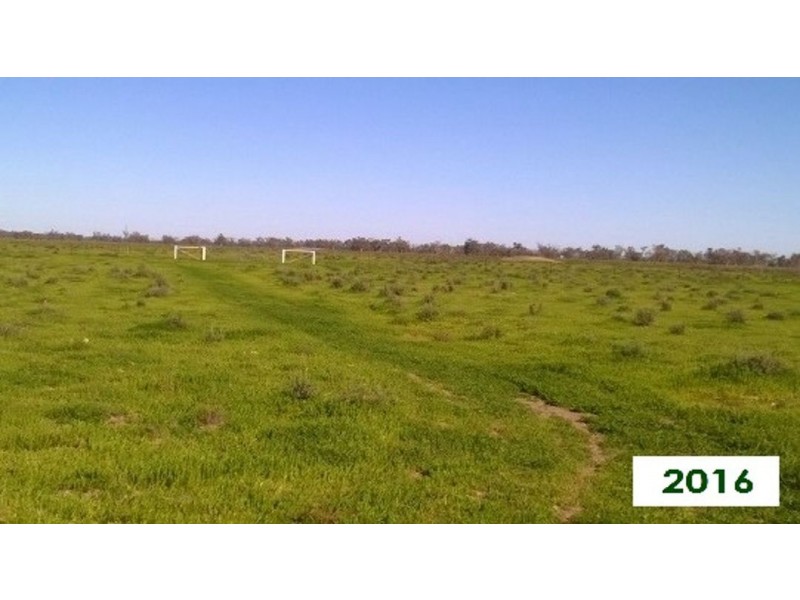 “Talawanta”, Brewarrina NSW 2839