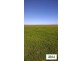 “Talawanta”, Brewarrina NSW 2839