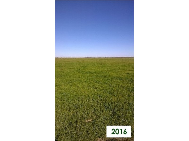 “Talawanta”, Brewarrina NSW 2839