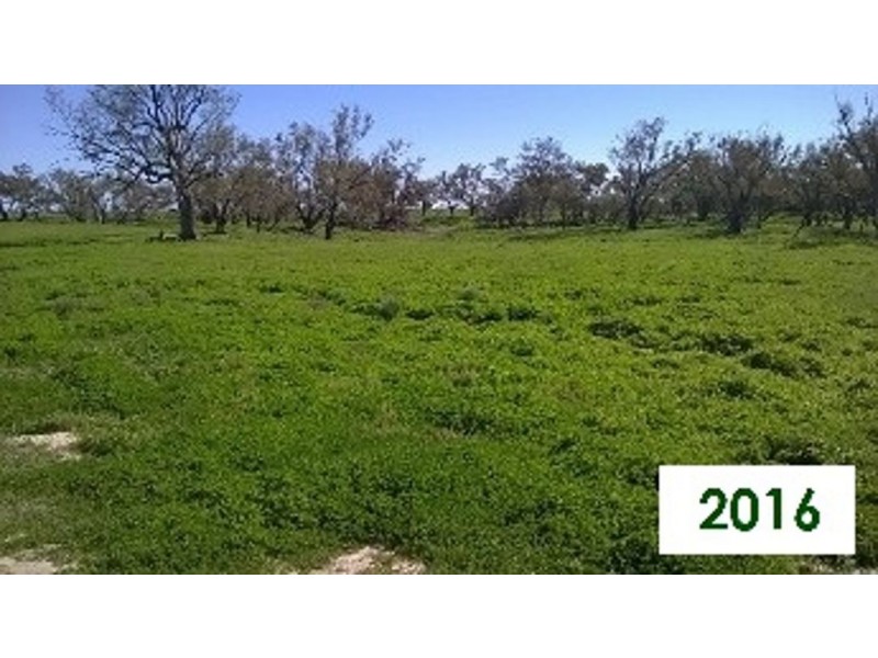 “Talawanta”, Brewarrina NSW 2839