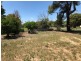 43 Bingera Street, Pallamallawa NSW 2399