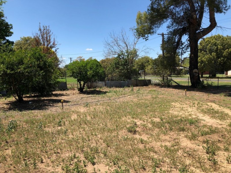 43 Bingera Street, Pallamallawa NSW 2399