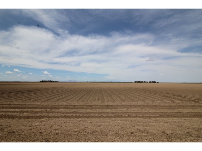 “Greenbah”, Wee Waa NSW 2388