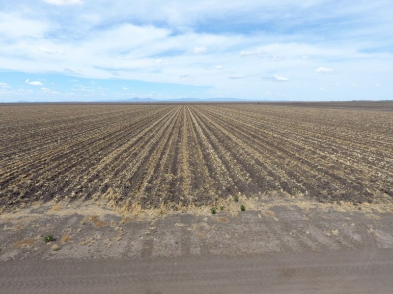 “Greenbah”, Wee Waa NSW 2388