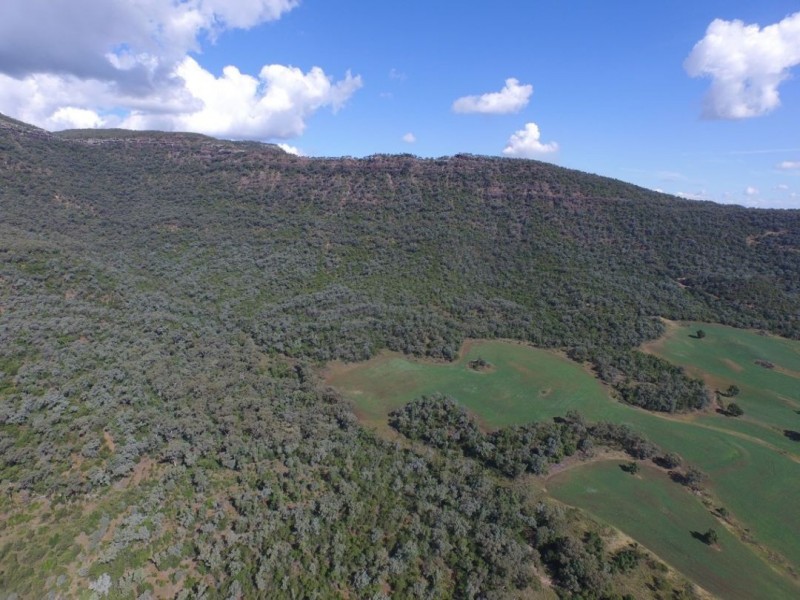 Part Greenvale, Couradda NSW 2390