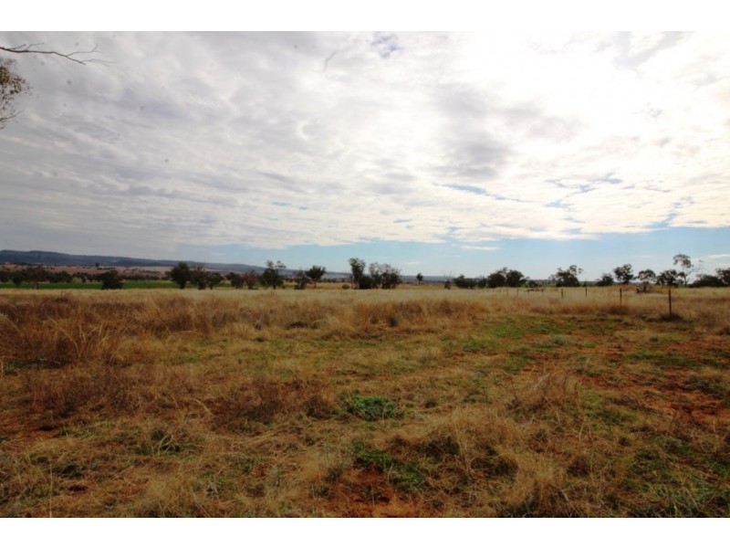 Bellevue Hill Aggregation, Warialda NSW 2402