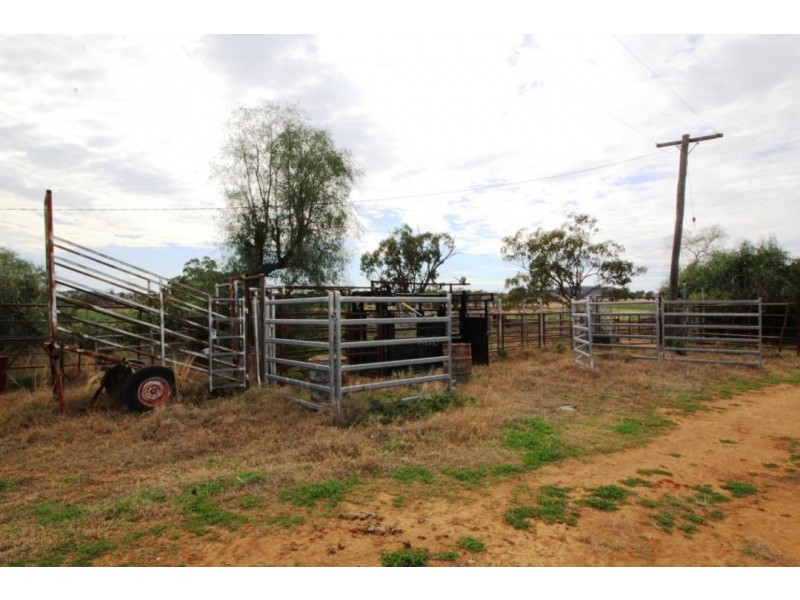 Bellevue Hill Aggregation, Warialda NSW 2402