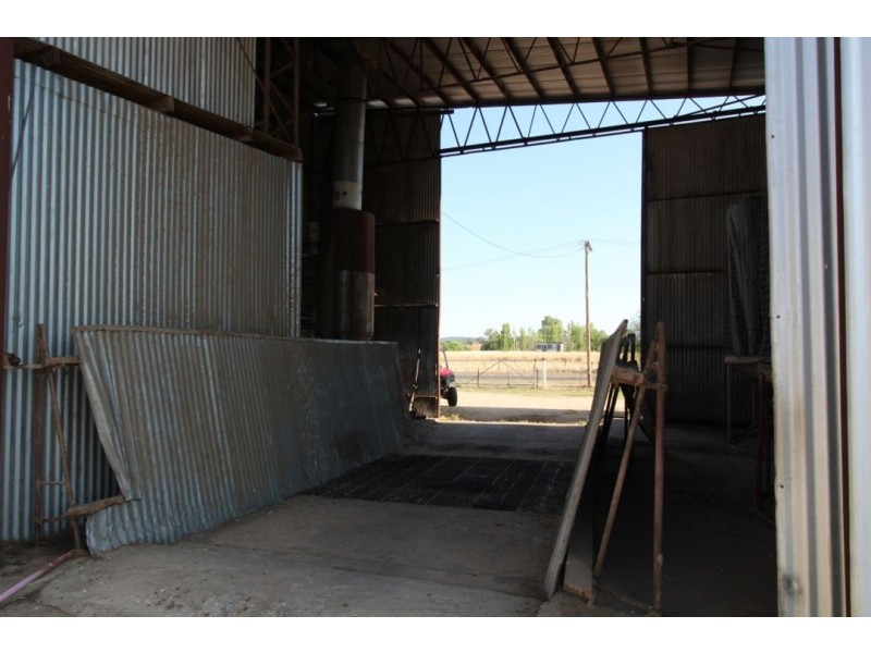 Bellevue Hill Aggregation, Warialda NSW 2402