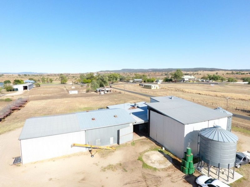 Bellevue Hill Aggregation, Warialda NSW 2402