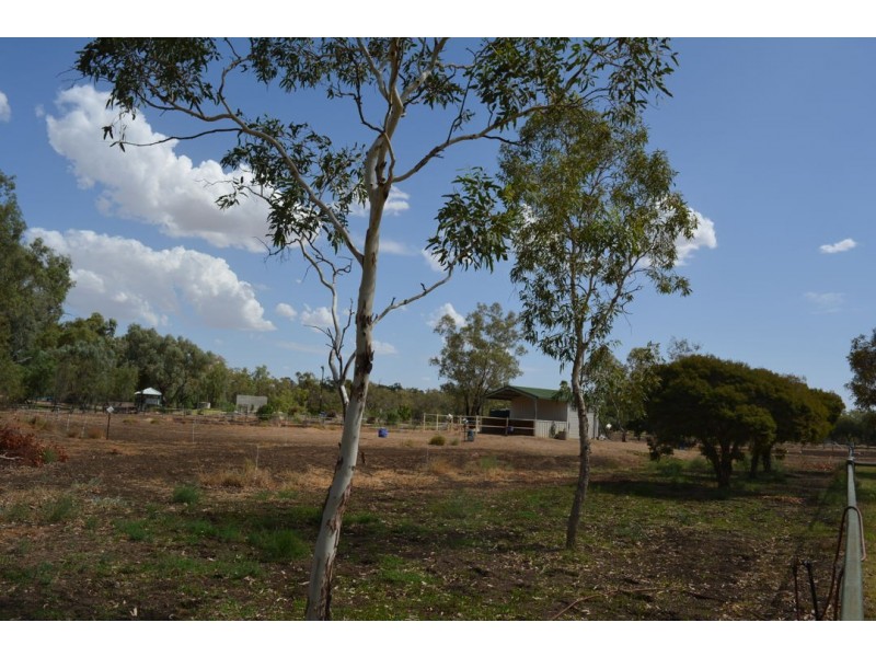 184 TARRAWINGEE ROAD, Moree NSW 2400