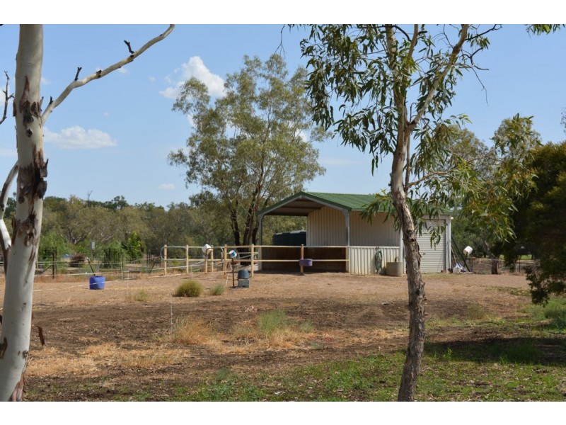 184 TARRAWINGEE ROAD, Moree NSW 2400