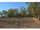 184 TARRAWINGEE ROAD, Moree NSW 2400
