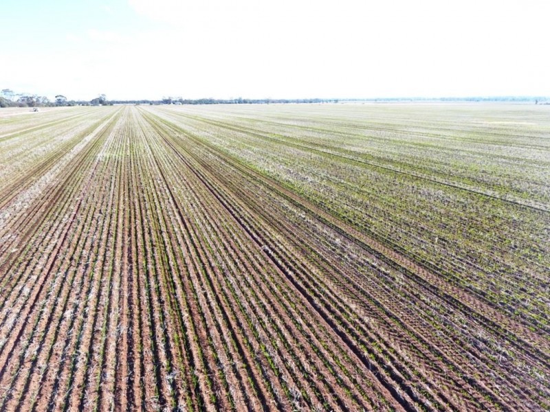 Wilga Park, Pallamallawa NSW 2399