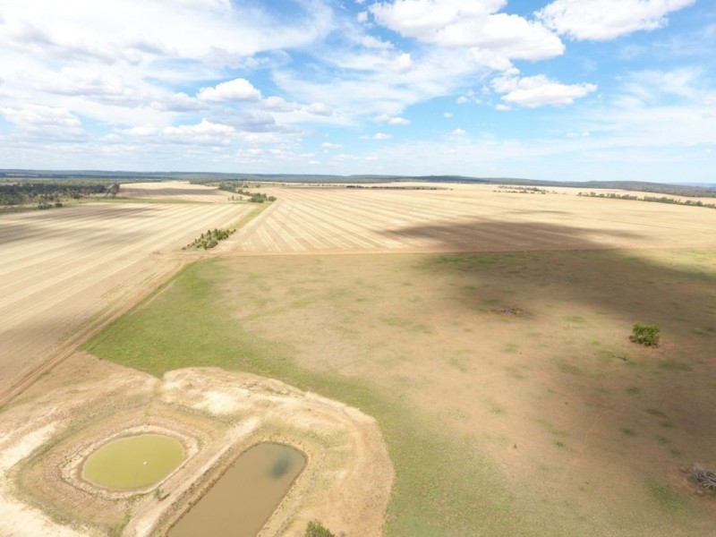 Wilga Park, Pallamallawa NSW 2399