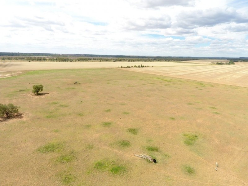 Wilga Park, Pallamallawa NSW 2399