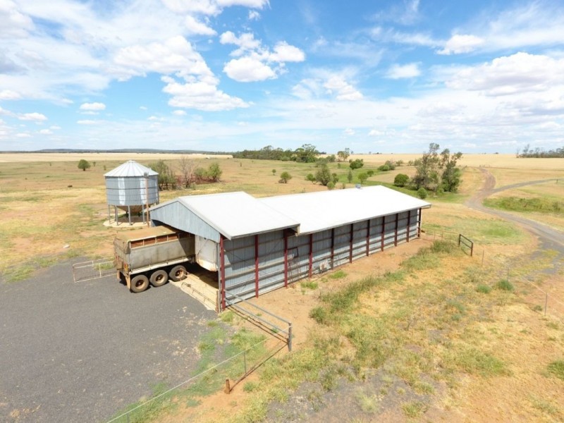 Wilga Park, Pallamallawa NSW 2399