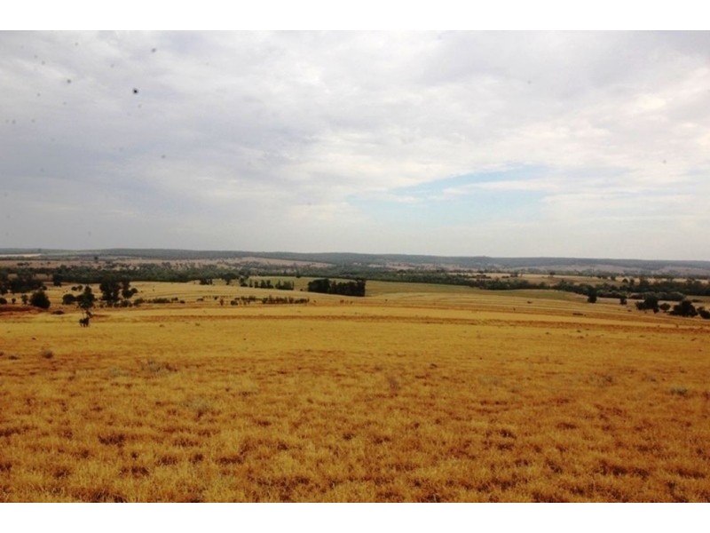 London, Warialda NSW 2402