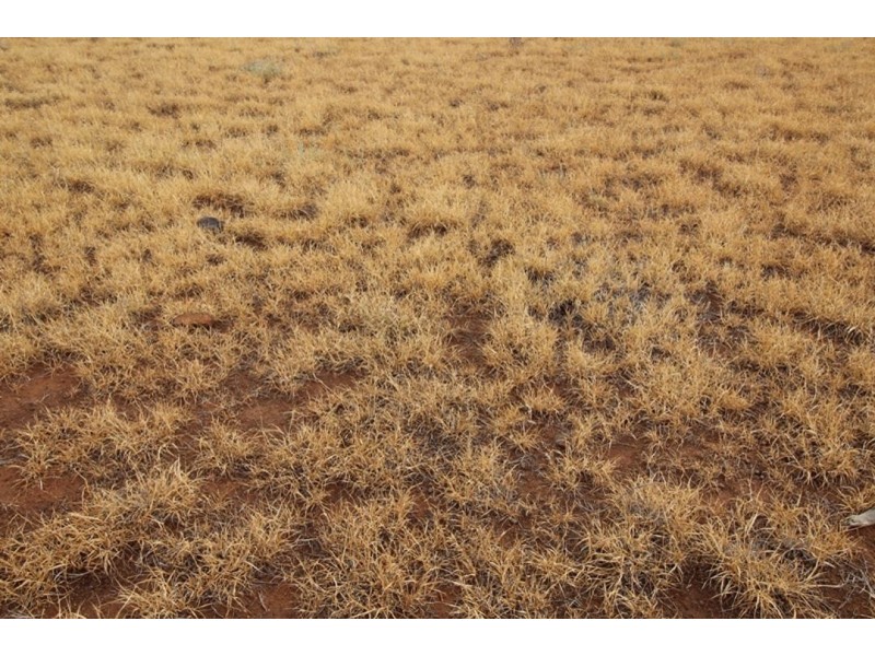 London, Warialda NSW 2402