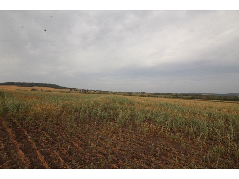 London, Warialda NSW 2402