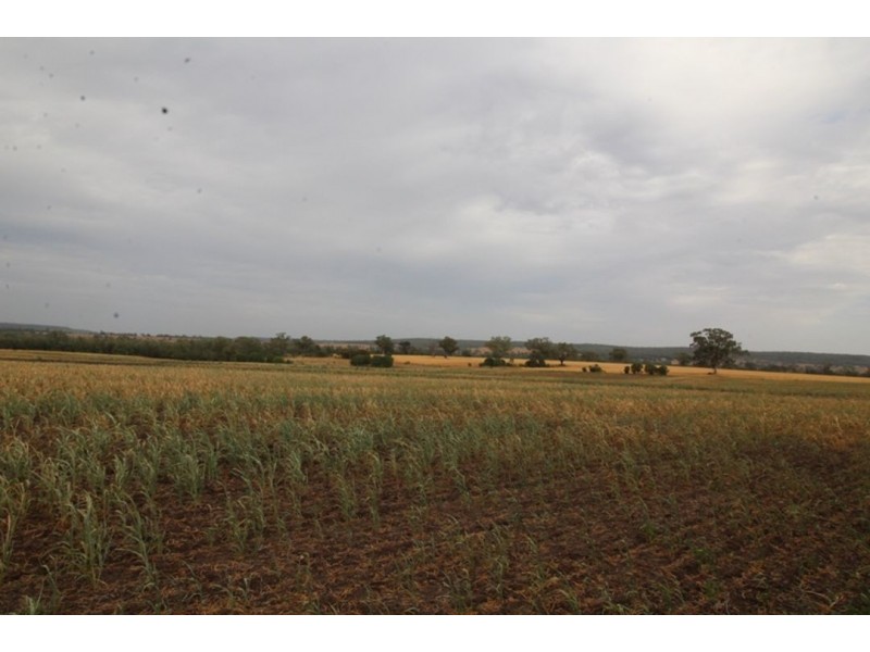 London, Warialda NSW 2402