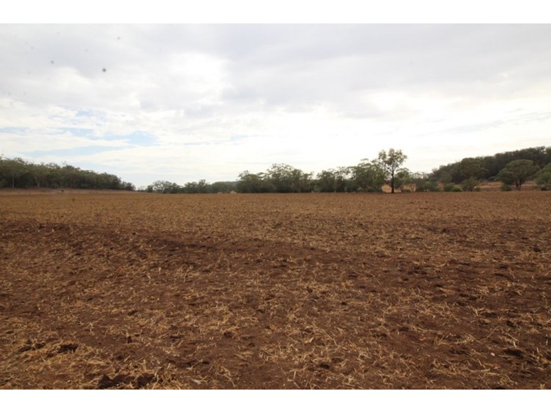 London, Warialda NSW 2402