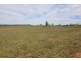 Roxburgh, 302 Caroda Road, Upper Horton NSW 2347