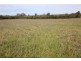Roxburgh, 302 Caroda Road, Upper Horton NSW 2347