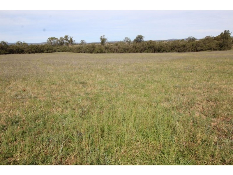 Roxburgh, 302 Caroda Road, Upper Horton NSW 2347