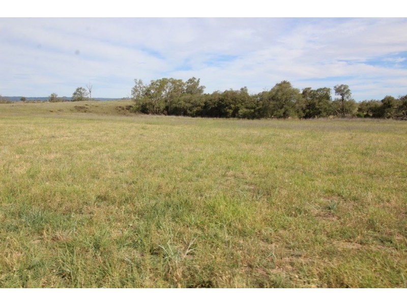 Roxburgh, 302 Caroda Road, Upper Horton NSW 2347