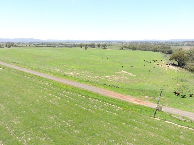 Roxburgh, 302 Caroda Road, Upper Horton NSW 2347
