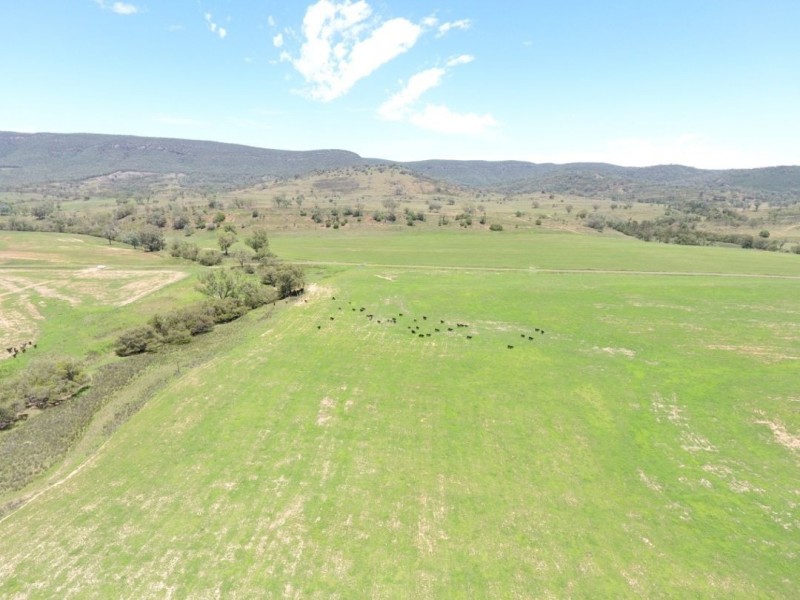 Roxburgh, 302 Caroda Road, Upper Horton NSW 2347