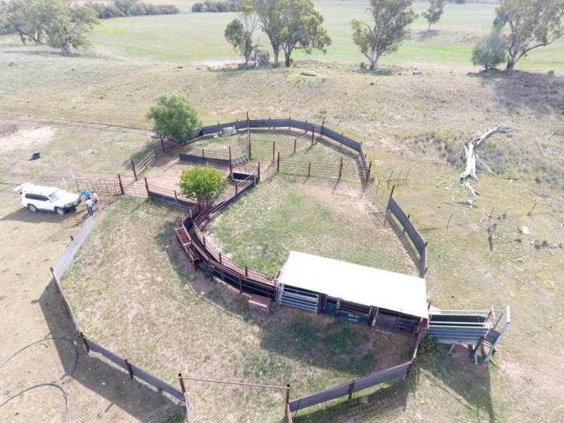 Roxburgh, 302 Caroda Road, Upper Horton NSW 2347