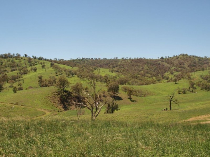 Noonameena Aggregation, Bingara NSW 2404