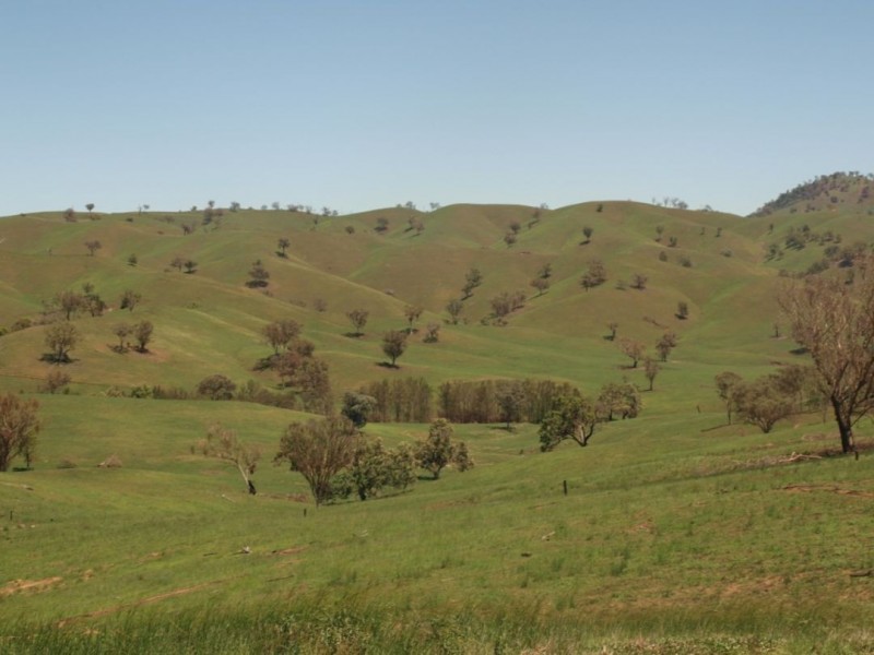 Noonameena Aggregation, Bingara NSW 2404