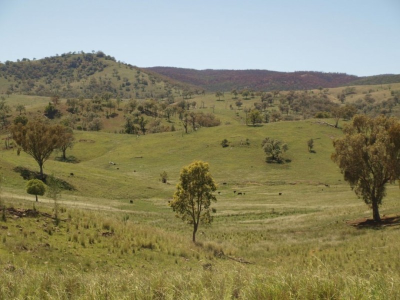 Noonameena Aggregation, Bingara NSW 2404