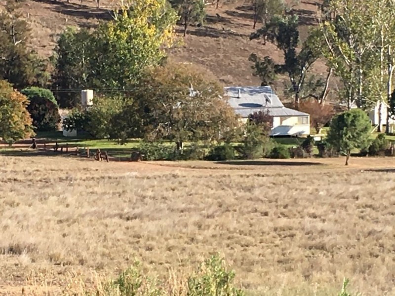 Noonameena Aggregation, Bingara NSW 2404