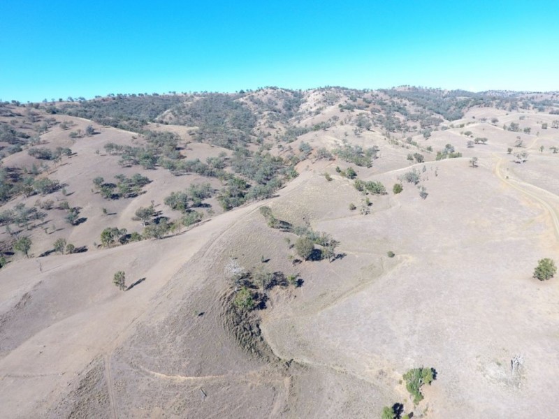 Noonameena Aggregation, Bingara NSW 2404