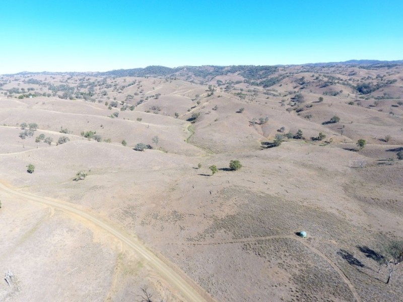 Noonameena Aggregation, Bingara NSW 2404