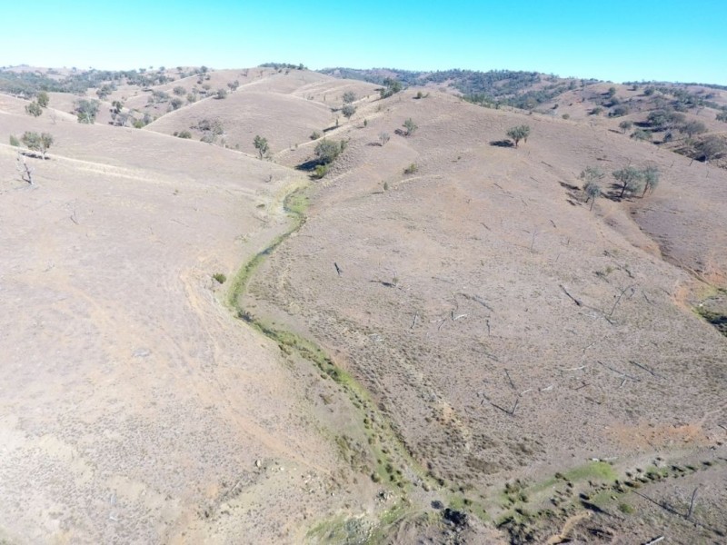 Noonameena Aggregation, Bingara NSW 2404