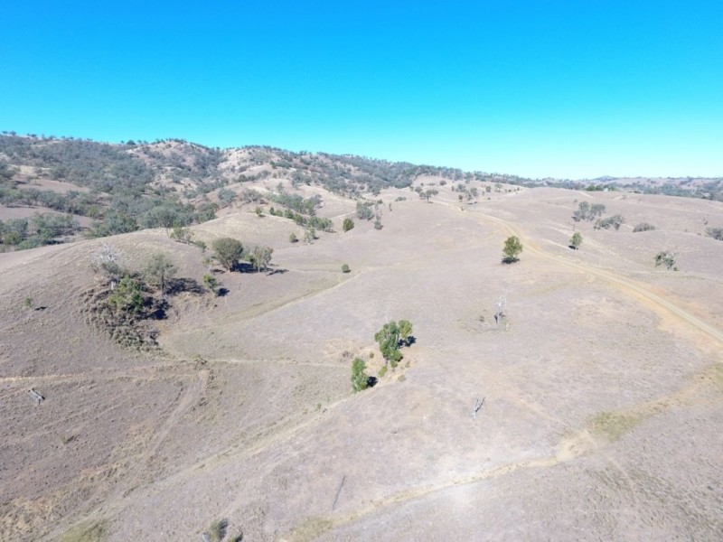 Noonameena Aggregation, Bingara NSW 2404