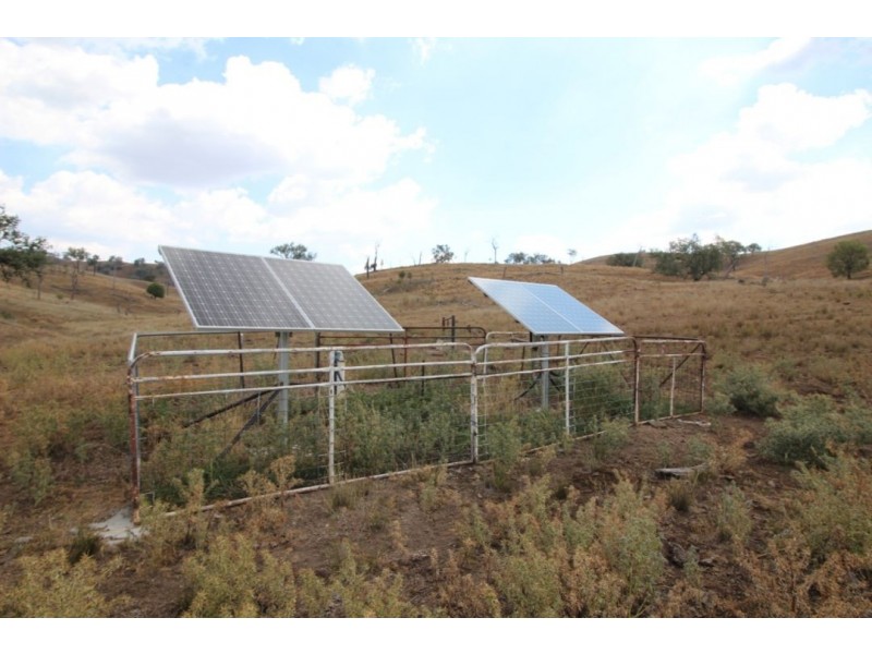 Noonameena Aggregation, Bingara NSW 2404