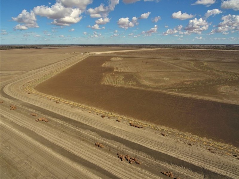 Canarvon, Mungindi NSW 2406